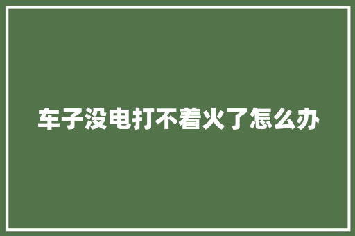 车子没电打不着火了怎么办