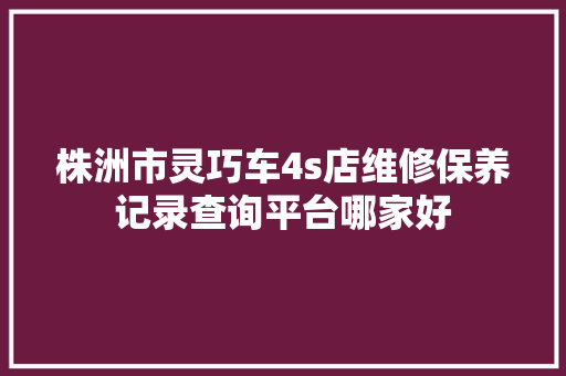 株洲市灵巧车4s店维修保养记录查询平台哪家好  第1张