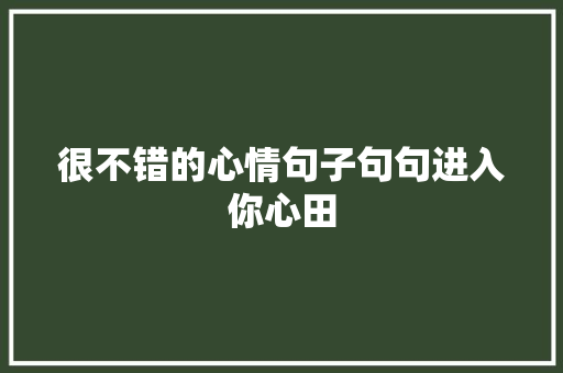 很不错的心情句子句句进入你心田