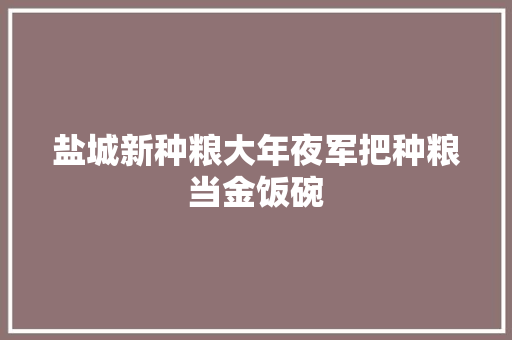 盐城新种粮大年夜军把种粮当金饭碗