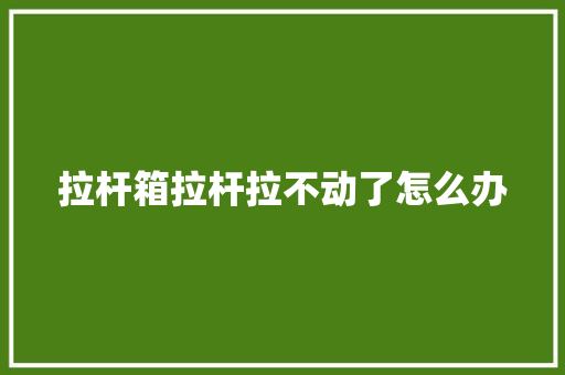 拉杆箱拉杆拉不动了怎么办