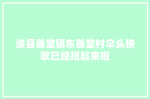 浚县善堂镇东善堂村伞头秧歌已经扭起来啦