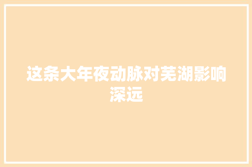 这条大年夜动脉对芜湖影响深远
