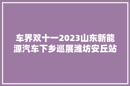 车界双十一2023山东新能源汽车下乡巡展潍坊安丘站举办