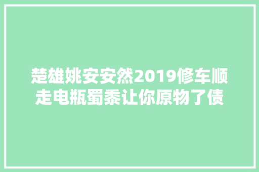 楚雄姚安安然2019修车顺走电瓶蜀黍让你原物了债