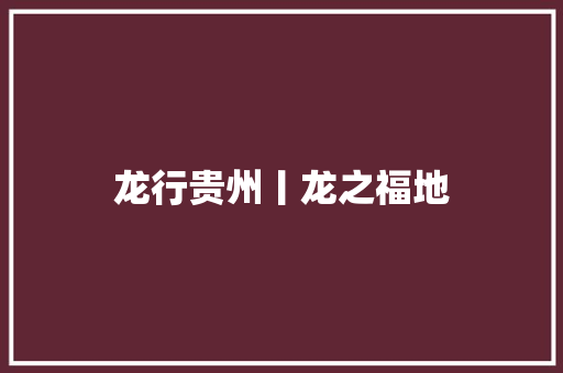 龙行贵州丨龙之福地
