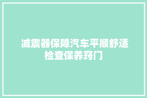  减震器保障汽车平顺舒适 检查保养窍门 