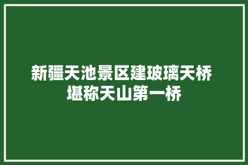 新疆天池景区建玻璃天桥 堪称天山第一桥