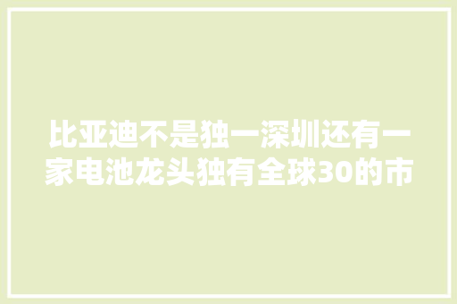 比亚迪不是独一深圳还有一家电池龙头独有全球30的市场