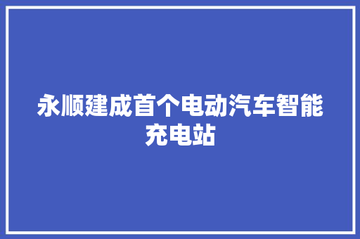 永顺建成首个电动汽车智能充电站  第1张