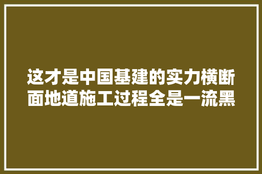 这才是中国基建的实力横断面地道施工过程全是一流黑科技