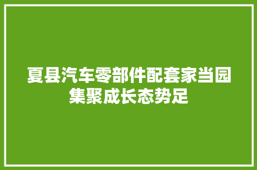 夏县汽车零部件配套家当园集聚成长态势足