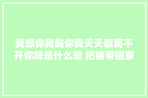 我想你我黏你我天天都离不开你呀是什么歌 把猪带回家歌词