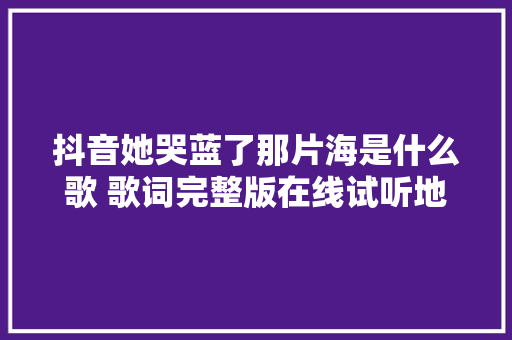 抖音她哭蓝了那片海是什么歌 歌词完整版在线试听地址