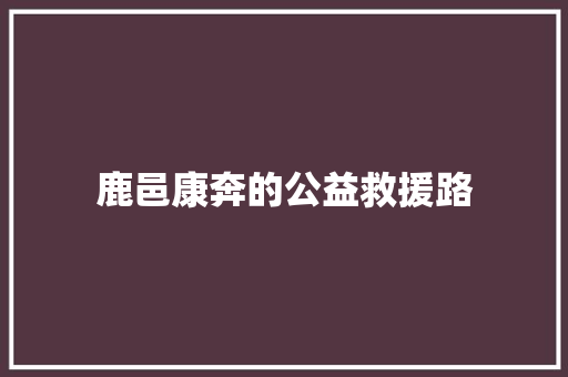 鹿邑康奔的公益救援路