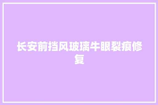 长安前挡风玻璃牛眼裂痕修复