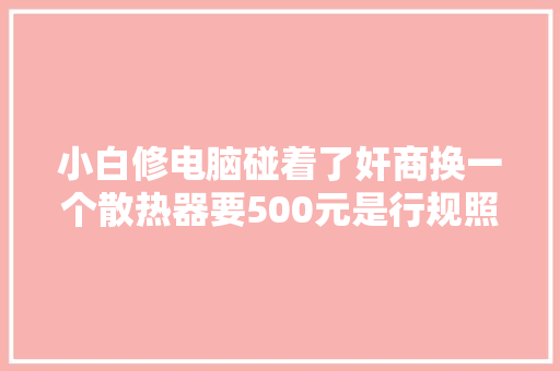 小白修电脑碰着了奸商换一个散热器要500元是行规照样坑人