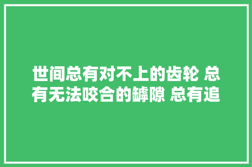 世间总有对不上的齿轮 总有无法咬合的罅隙 总有追不上的爱人