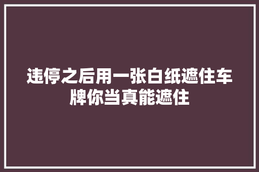 违停之后用一张白纸遮住车牌你当真能遮住