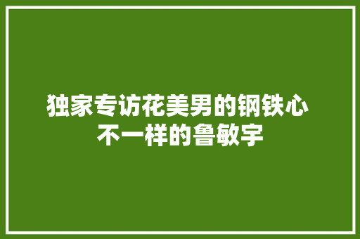 独家专访花美男的钢铁心 不一样的鲁敏宇