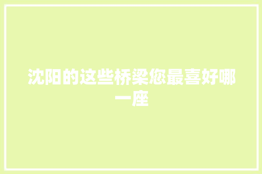 沈阳的这些桥梁您最喜好哪一座