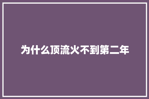 为什么顶流火不到第二年