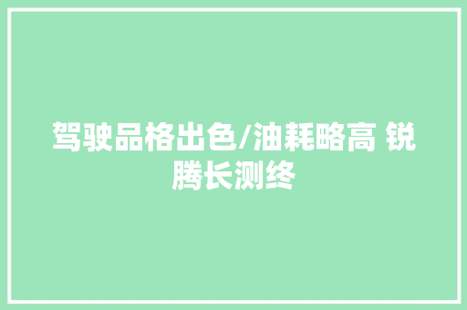 驾驶品格出色/油耗略高 锐腾长测终