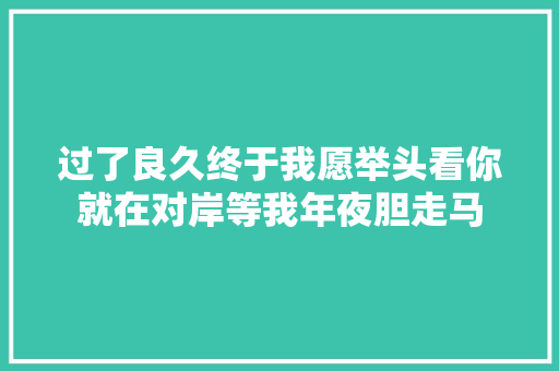 过了良久终于我愿举头看你就在对岸等我年夜胆走马