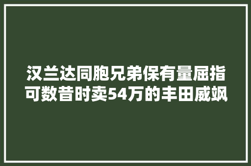 汉兰达同胞兄弟保有量屈指可数昔时卖54万的丰田威飒长啥样