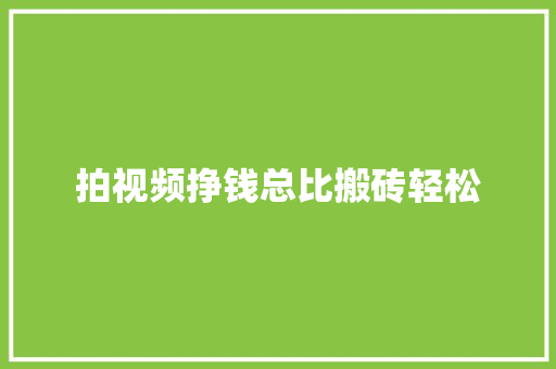 拍视频挣钱总比搬砖轻松 汽车知识