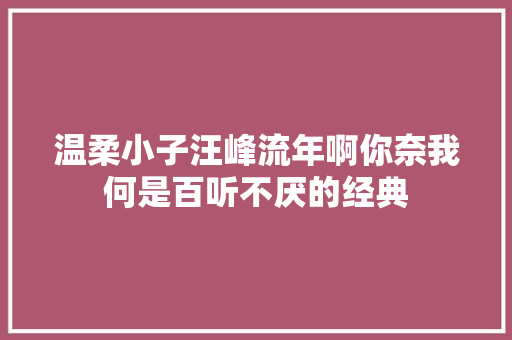 温柔小子汪峰流年啊你奈我何是百听不厌的经典