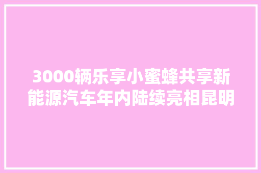 3000辆乐享小蜜蜂共享新能源汽车年内陆续亮相昆明