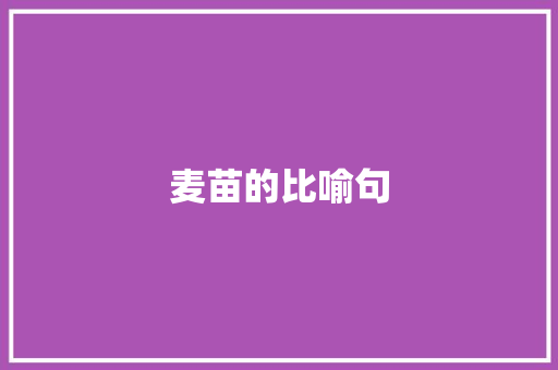 麦苗的比喻句