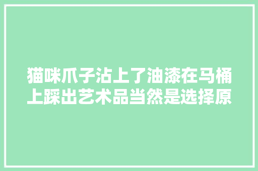 猫咪爪子沾上了油漆在马桶上踩出艺术品当然是选择原谅它