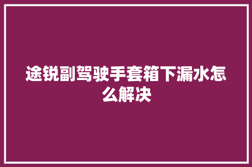 途锐副驾驶手套箱下漏水怎么解决