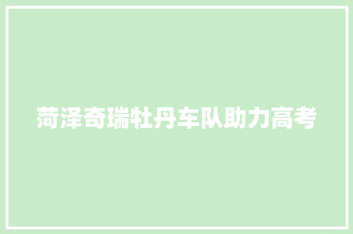 菏泽奇瑞牡丹车队助力高考