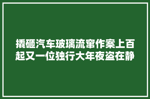 撬砸汽车玻璃流窜作案上百起又一位独行大年夜盗在静海栽了