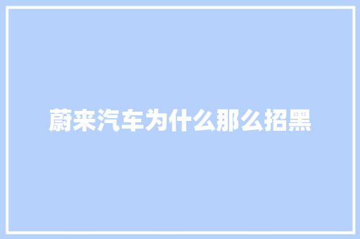 蔚来汽车为什么那么招黑