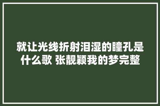 就让光线折射泪湿的瞳孔是什么歌 张靓颖我的梦完整歌词