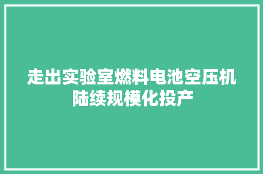 走出实验室燃料电池空压机陆续规模化投产