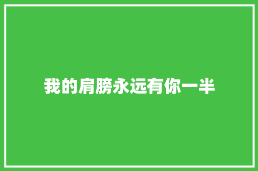 我的肩膀永远有你一半