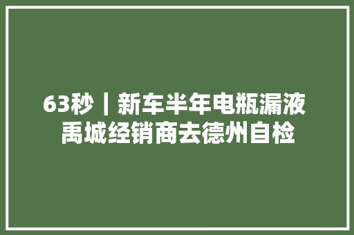 63秒｜新车半年电瓶漏液 禹城经销商去德州自检
