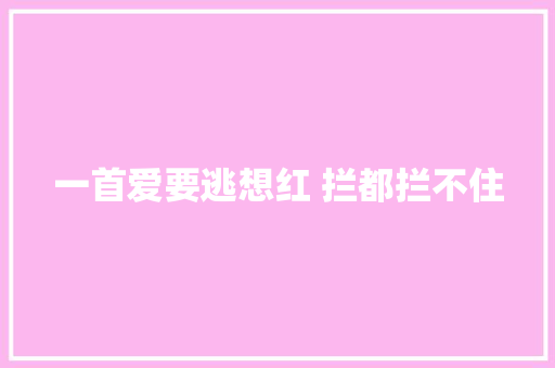 一首爱要逃想红 拦都拦不住