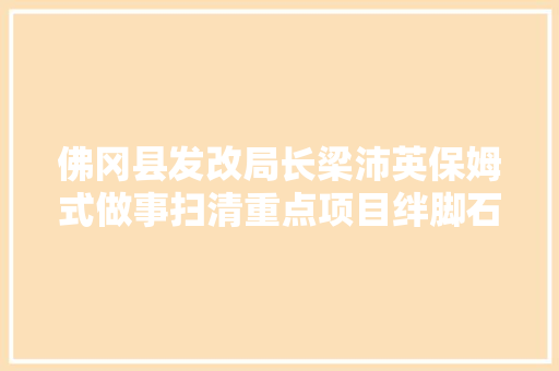 佛冈县发改局长梁沛英保姆式做事扫清重点项目绊脚石