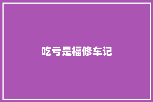 吃亏是福修车记