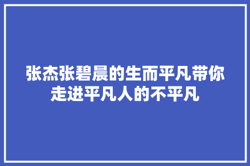 张杰张碧晨的生而平凡带你走进平凡人的不平凡 休闲娱乐