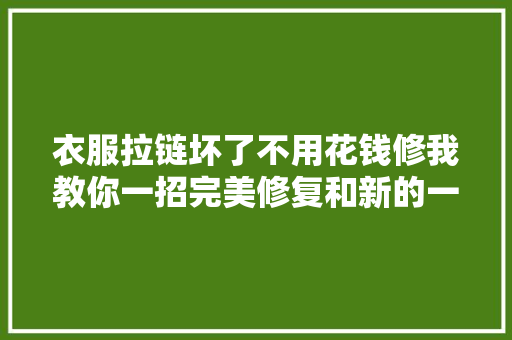 衣服拉链坏了不用花钱修我教你一招完美修复和新的一样好用