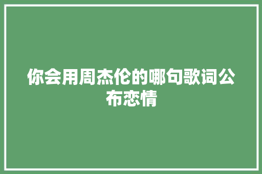 你会用周杰伦的哪句歌词公布恋情 休闲娱乐