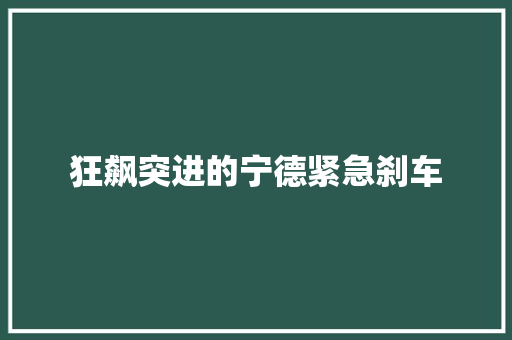 狂飙突进的宁德紧急刹车
