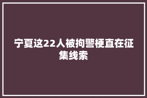 宁夏这22人被拘警梗直在征集线索 汽车知识